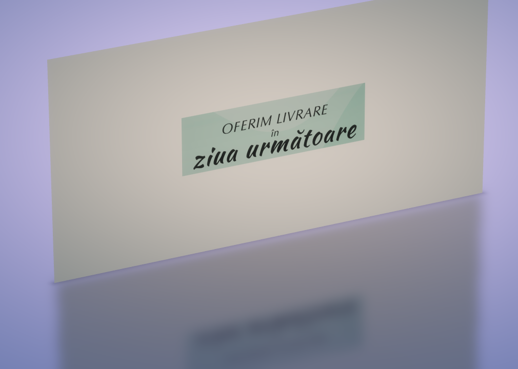 Ziua urmatoare